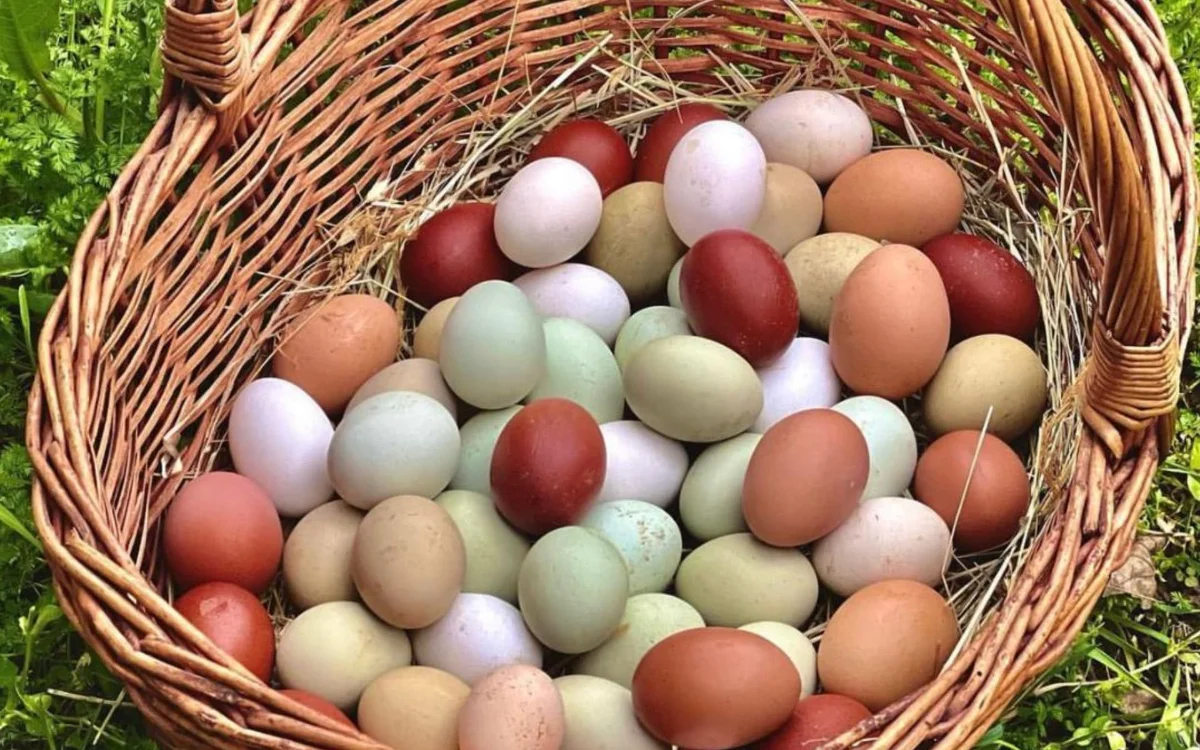 uova di pasqua